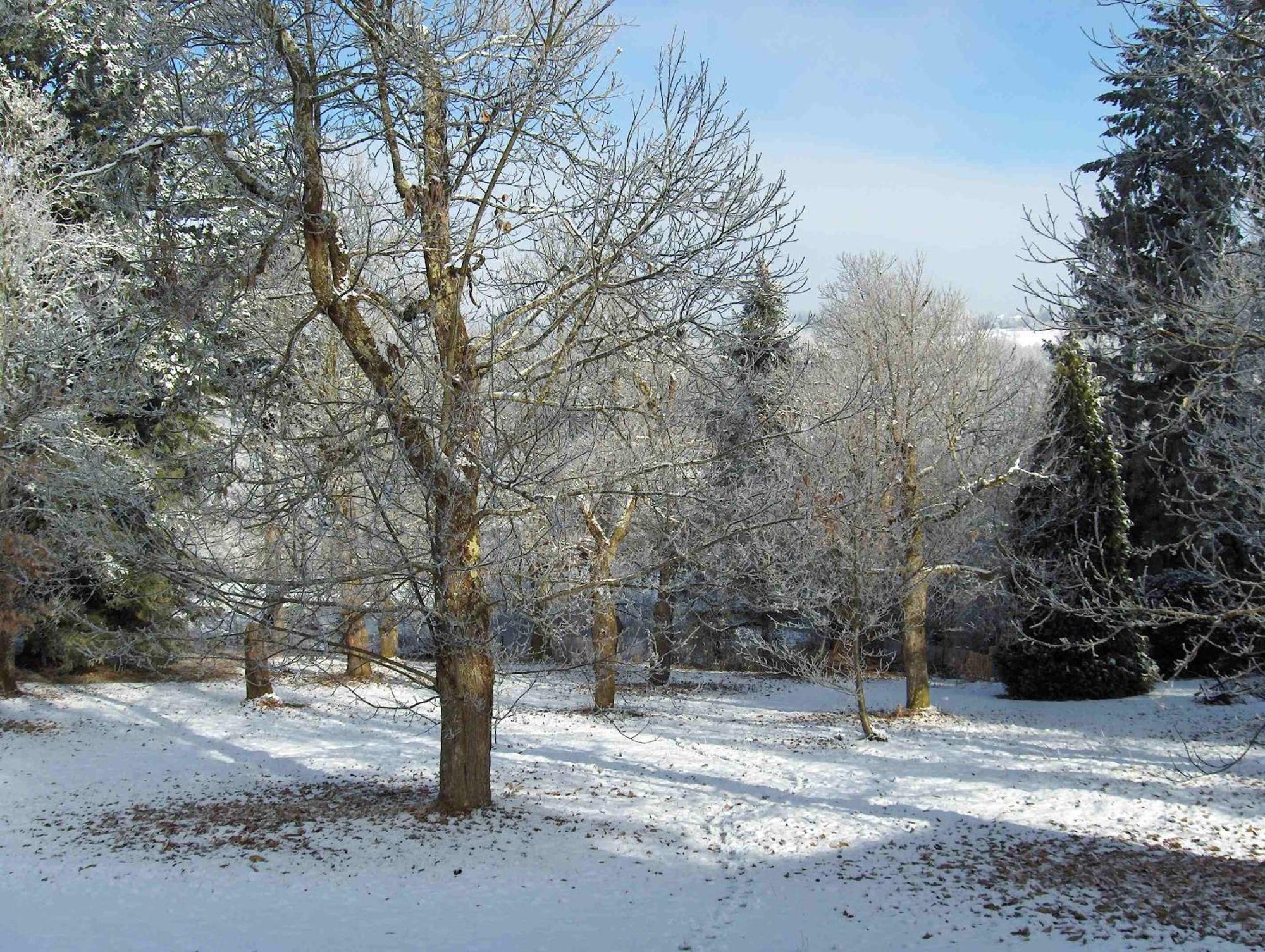 Chambres D'Hotes Le Chalet Condat-sur-Vienne Buitenkant foto